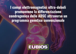 ionorisonanza-campi-elettromagnetici